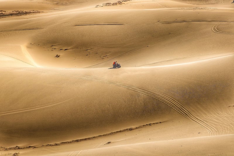 Desert Exploration